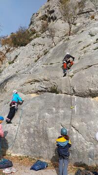 les amandiers les amandiers