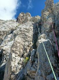 dans le pain de sucre dans le pain de sucre